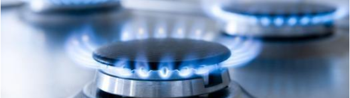 (Español) Gobierno ingresó Proyecto de Ley que regula Mercado del Gas
