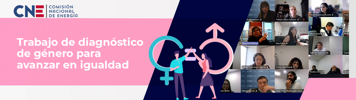 (Español) CNE inicia trabajo de diagnóstico de género para avanzar en igualdad