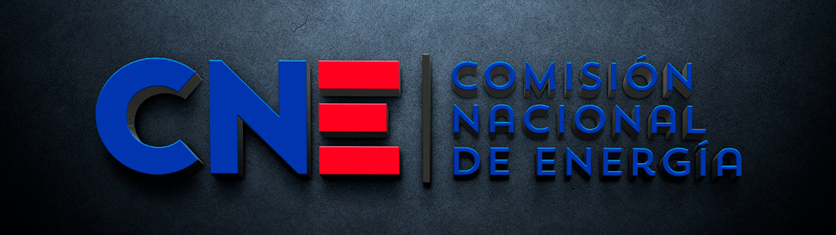 CNE publicó informe final de licitaciones de suministro 2022