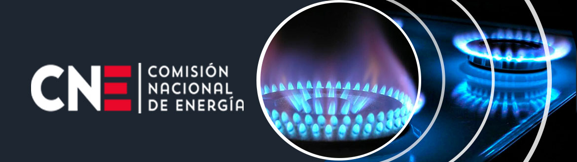 (Español) Comisión Nacional de Energía informa resultados del proceso de Chequeo de Rentabilidad de las concesionarias de distribución de gas de red del año 2021