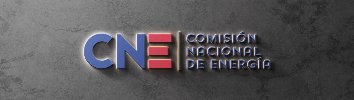 CNE destacó dictamen favorable del Panel de Expertos por proceso VAD 2020-2024