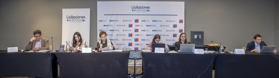 (Español) Licitación de Suministro 2025/01: seis empresas presentan sus ofertas