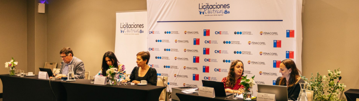 (Español) Licitación de Suministro Eléctrico 2025/02 recibe siete propuestas