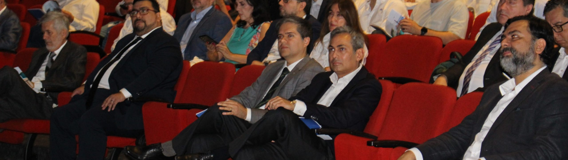 Presentación del Informe “Recomendaciones Regulatorias para la Distribución Eléctrica en Chile”