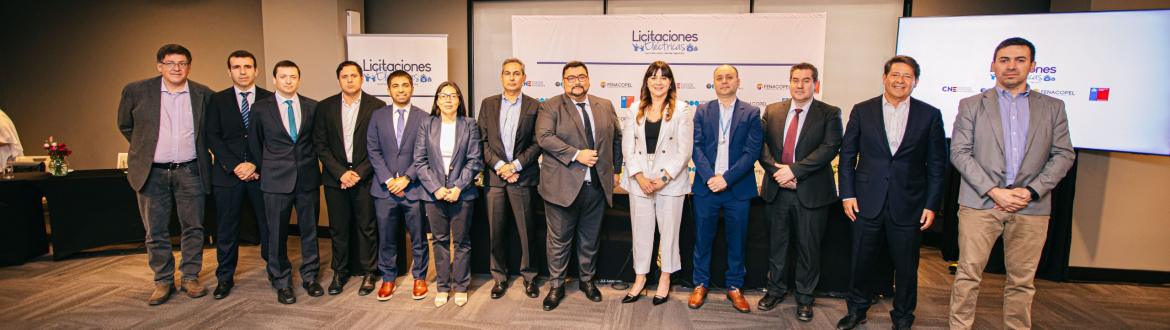 CNE adjudica con éxito licitación excepcional de corto plazo para el suministro eléctrico 2026
