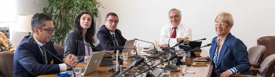 Comisión de Minería y Energía del Senado recibe a la CNE por rebaja tarifaria