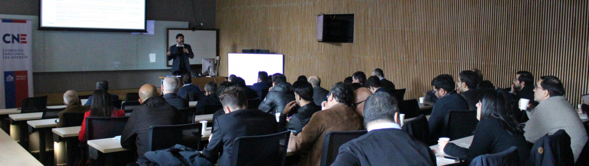  Informe Final de las Mesas de Trabajo Licitaciones de Suministro Eléctrico 2025