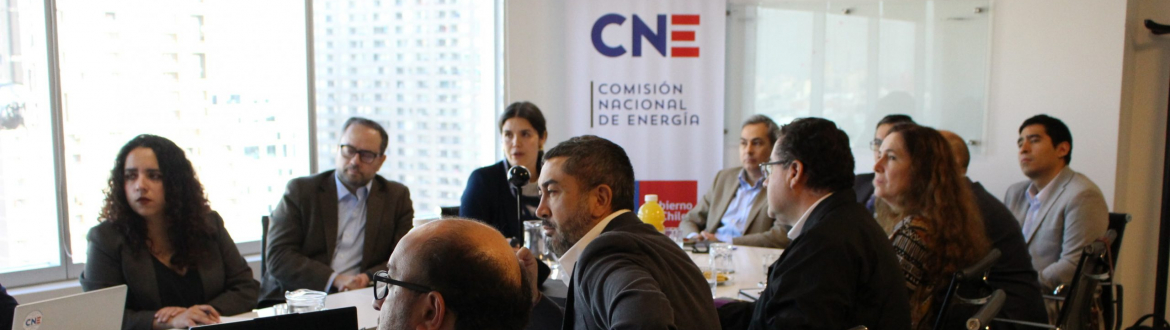 Segunda sesión COSOC CNE 2026