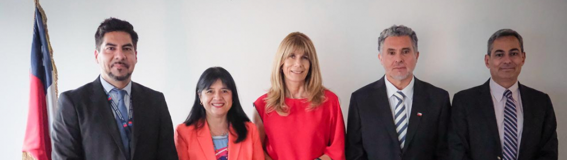 Ministra Rincón sostiene primera reunión con la CNE y organismos del sector energético