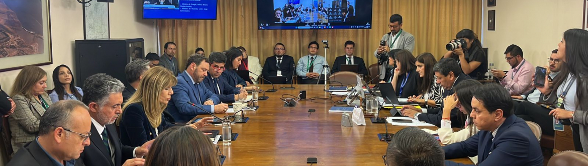 CNE participa en sesión de la Comisión de Minería y Energía de la Cámara de Diputadas y Diputados