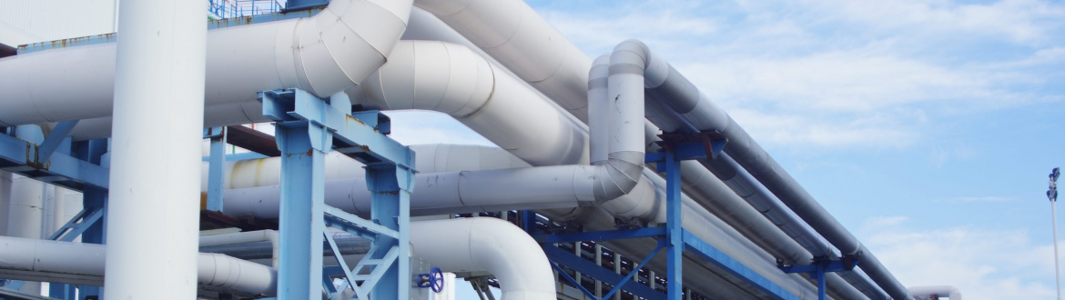 Webinar abordó los principales cambios del DS79 en el Servicio de Gas de Red