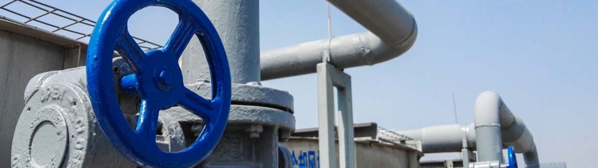 Abierto el proceso de licitación para el Estudio de Costos del VAD para los servicios de gas en la Región de Magallanes y la Antártica Chilena