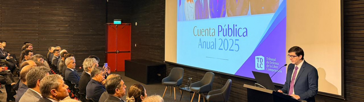 CNE en la Cuenta Pública 2025 del TDLC