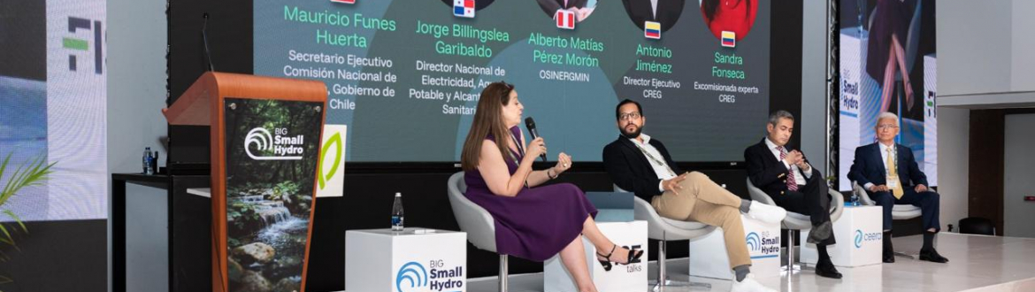 Secretario ejecutivo (S) participa en Big Small Hydro, evento clave para el futuro de la hidroelectricidad