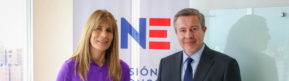 Secretario ejecutivo de la CNE se reúne con Ministra de Energía para abordar desafíos de la agenda energética